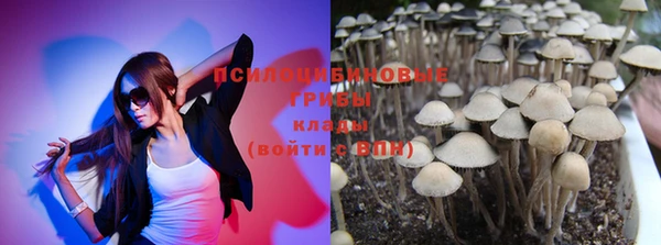 стафф Алексин