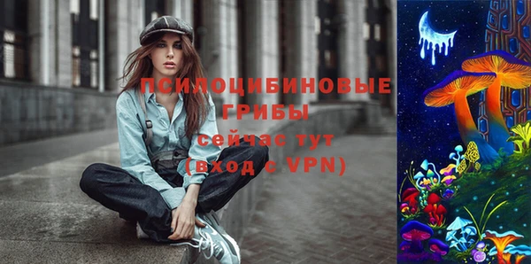 хмурый Абинск
