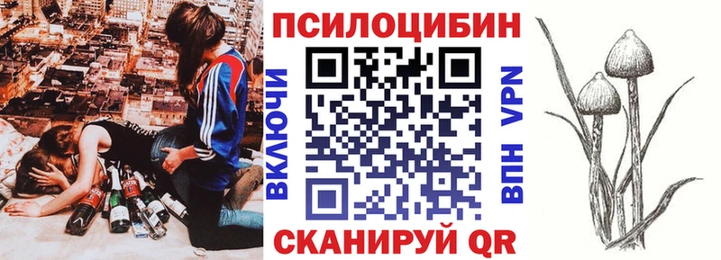 магазин  наркотиков  Шилка  Галлюциногенные грибы прущие грибы 